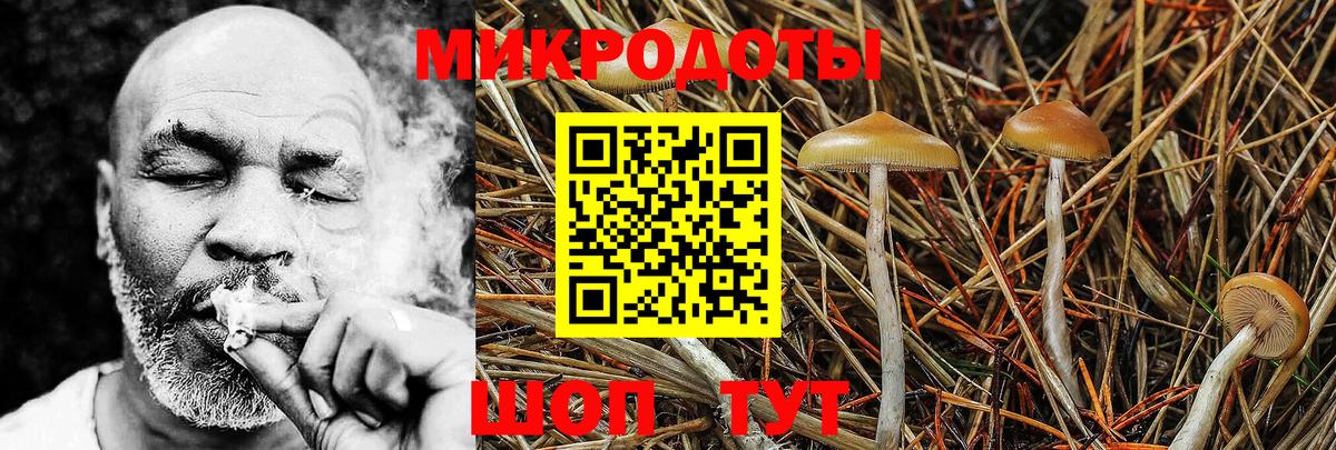Казань  Псилоцибиновые грибы MAGIC MUSHROOMS  купить наркотик  Псилоцибиновые грибы мицелий  Вход с VPN 